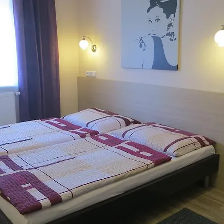 库曳旅馆 招待所 Příbram